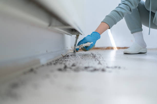Best Pest Control Near Me  in Crown Heights, NY