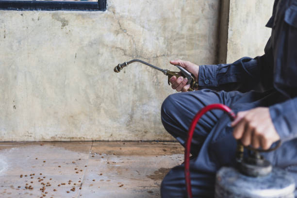 Best Local Pest Control Services  in Crown Heights, NY